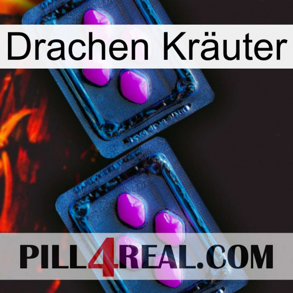 Drachen Kräuter 03.jpg